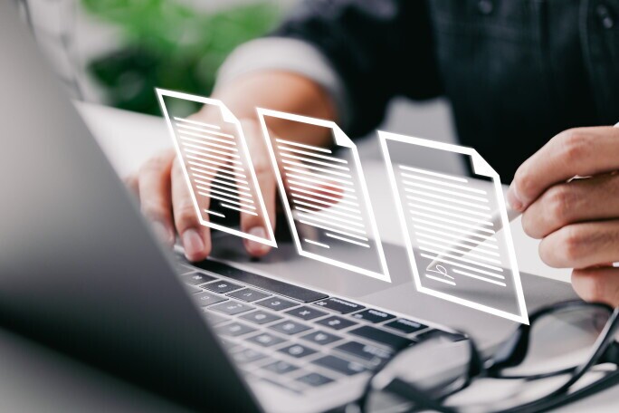 Business Consultant Information Management (100 %), 1. portrait